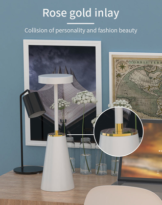Lâmpada de mesa de ambiente de luz noturna de metal para decoração de luz LED inteligente