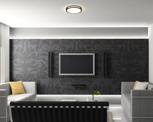 Design moderno 14 polegadas 21W 5CCT LED Double Ring Ceiling Light CL-B1425 com função DIY