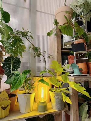 80 Ra Presentes Artísticos Lâmpada Repelente de Mosquitos para Festival de Luz Noturna e Lâmpada de Mesa