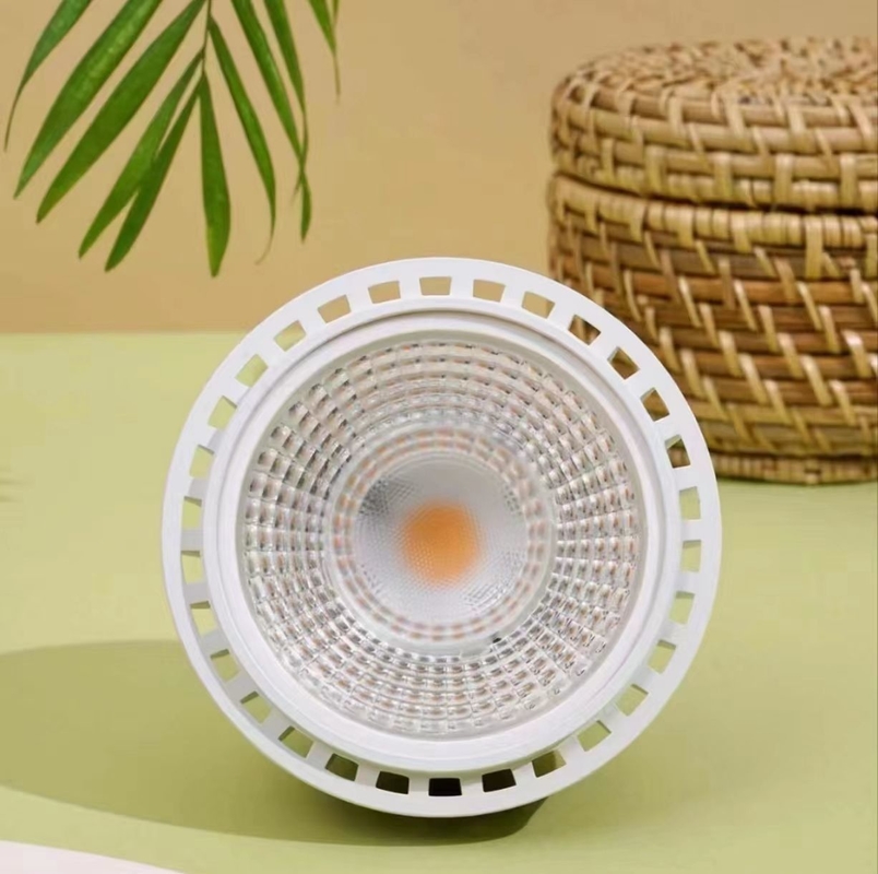 Iluminação LED de planta de crescimento 20W LEDPAR30 com 85V-265V de tensão de entrada e outro tipo de base